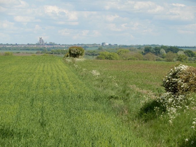 Ely Cathedral from Wardy Hill Road